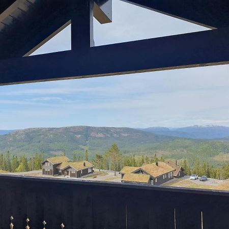 Wonderful Cabin With Amazing Mountain - View Lifjell Buitenkant foto