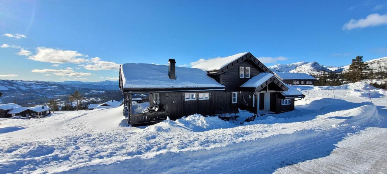 Wonderful Cabin With Amazing Mountain - View Lifjell Buitenkant foto