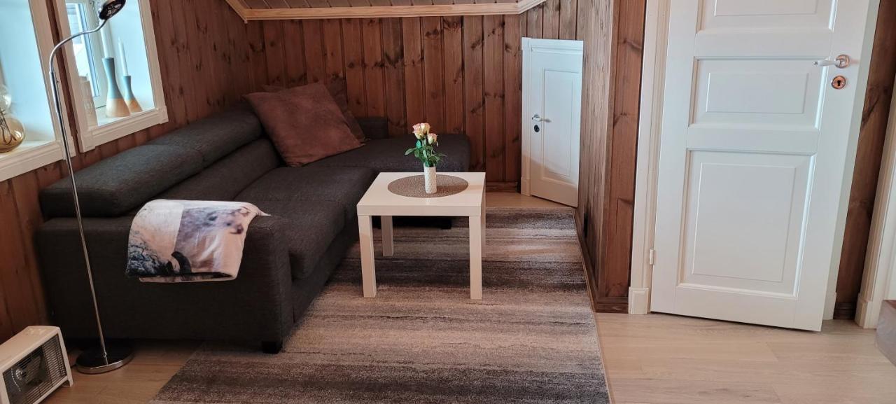 Wonderful Cabin With Amazing Mountain - View Lifjell Buitenkant foto