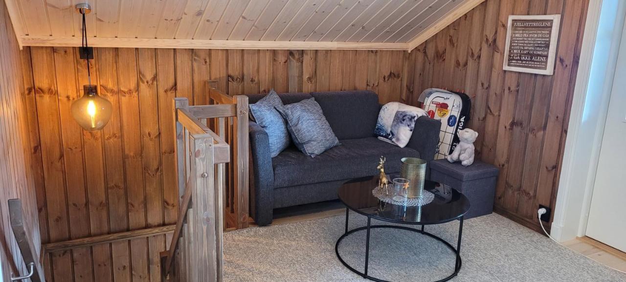 Wonderful Cabin With Amazing Mountain - View Lifjell Buitenkant foto