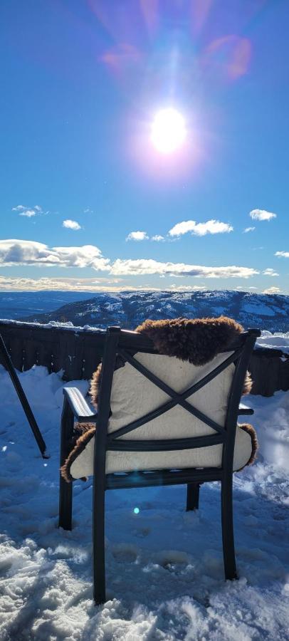 Wonderful Cabin With Amazing Mountain - View Lifjell Buitenkant foto