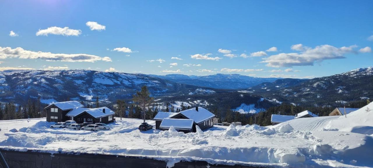 Wonderful Cabin With Amazing Mountain - View Lifjell Buitenkant foto