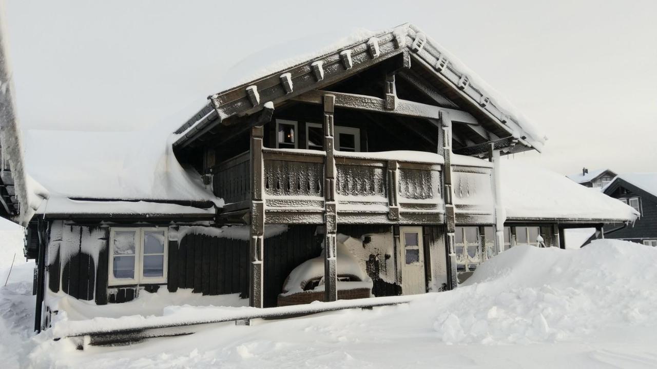 Wonderful Cabin With Amazing Mountain - View Lifjell Buitenkant foto