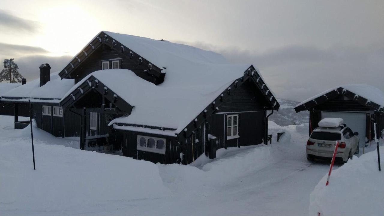 Wonderful Cabin With Amazing Mountain - View Lifjell Buitenkant foto
