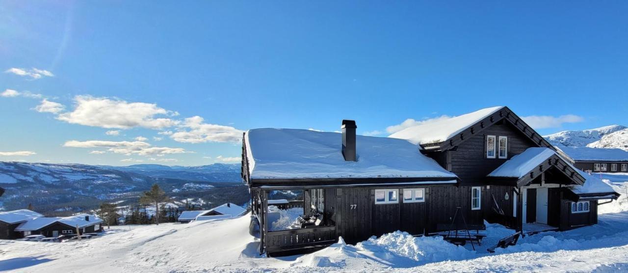 Wonderful Cabin With Amazing Mountain - View Lifjell Buitenkant foto