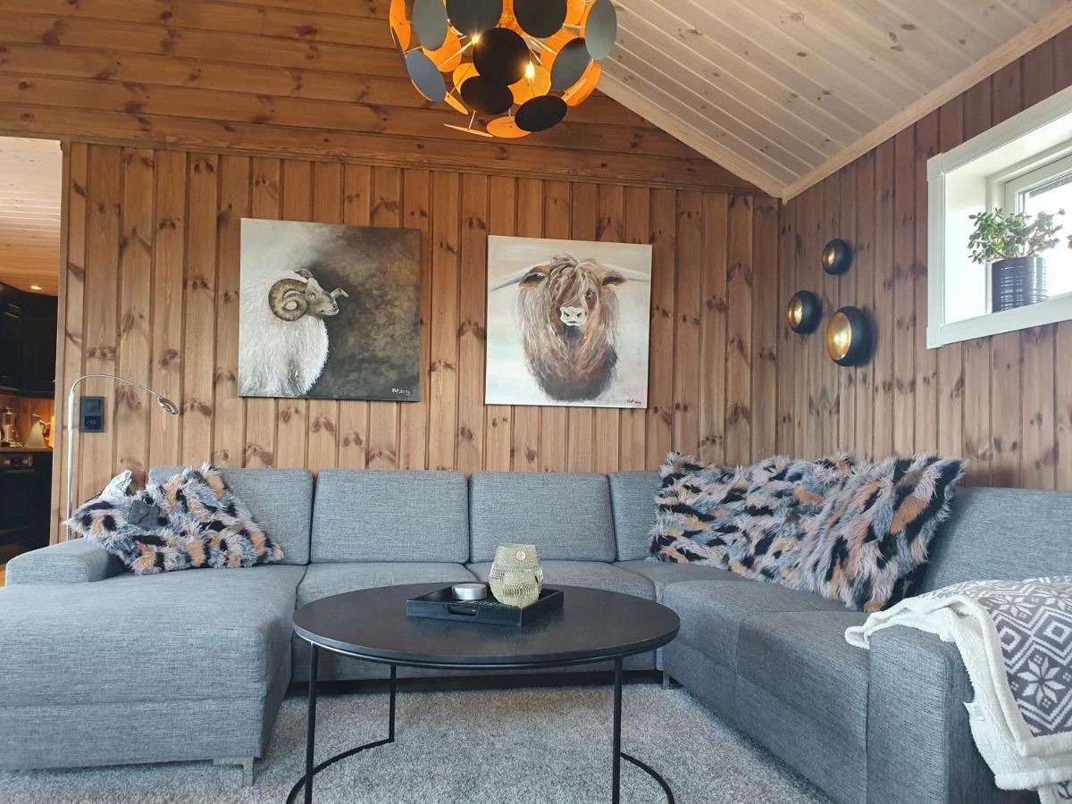 Wonderful Cabin With Amazing Mountain - View Lifjell Buitenkant foto